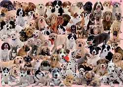 Hondencollage (1000 stukjes)