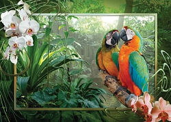 Papegaaien in de jungle (1000 stukjes)