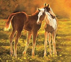 39506 - Backlit Foals (550 stukjes)