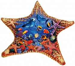 97136 - Starfish